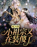 夜少的小祖宗又在装傻了免费阅读笔趣阁