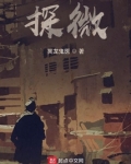 探微索隐是什么意思