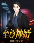 至尊神婿叶昊郑漫儿全集大结局