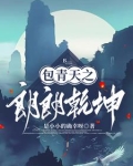 包公探案电视剧
