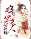 将军夫人是神捕