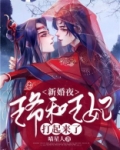 新婚夜，王爷和王妃打起来了