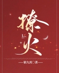 撩火小说