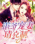 书名:《湛爷别那么暴躁》by:傅九