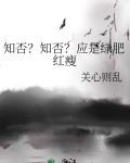 知否知否应是绿肥红瘦什么意思