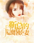 隐婚娇妻不好惹 小说