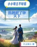 小小领主破解版