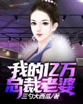 我的亿万总裁老婆林海