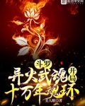 斗罗异火武魂开局十万年魂环美人