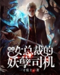 冰山女总裁的兵王司机
