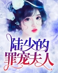 陆少的罪宠夫人