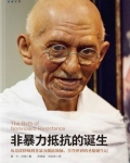 非暴力抵抗的诞生：南非非暴力抵抗运动史