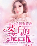 总裁别惹我：妻子的谎言