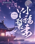 丫鬟小福妻