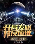 开局发明核反应堆,鹰酱阻止回国