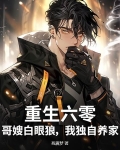 重生六零长嫂难当