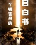 一个销售员的自白书