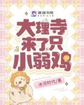 大理寺日志小黑