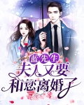蓝先生:夫人又要和您离婚了百度云