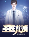 圣医龙婿TXT下载