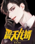 震天龙婿
