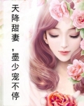 天降甜妻，墨少宠不停