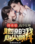 刚离婚，高冷女神她撩的我心尖颤抖