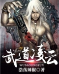 武道凌云TXT下载