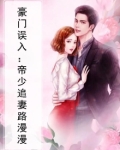 豪门误入：帝少追妻路漫漫