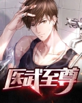 医武至尊TXT免费下载