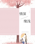 情深缘浅小说