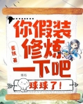 你假装修炼一下吧,球球了!