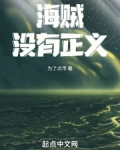 海贼没有正义最新