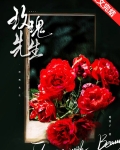 玫瑰先生小说觅芽子