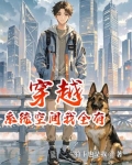 穿越有系统或空间当宠妃小说