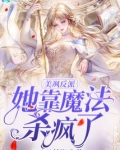 美飒反派她靠魔法杀疯了小说