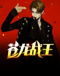 苍龙战神 小说