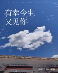 有幸今生又见你小说免费阅读