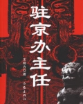 驻京办主任（一）