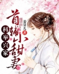 科举兴家：首辅小甜妻