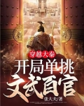 穿越大秦开局无敌