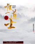 穿越魔法世界我成了唯一道士TXT下载