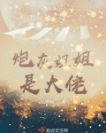 炮灰姐姐是大佬