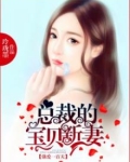 强爱一百天，总裁的宝贝新妻
