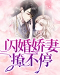 闪婚娇妻撩不停