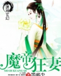 魔帝狂妻:至尊控魂师