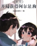 影视开局获得阿尔法狗的小说
