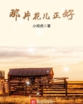 那片花儿正好