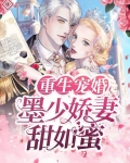 重生墨少宠妻超甜免费阅读