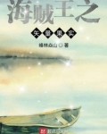海贼王之矢量果实
